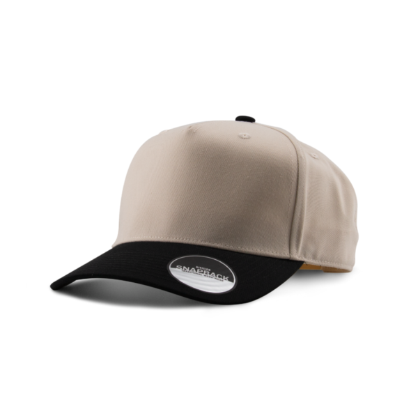 n-pr-Casquette-2-tons-a5ZZN4xZ-819202532659PM.png 2-Tone Cap