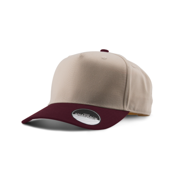 n-pr-Casquette-2-tons-rWn19Iy9-819202532624PM.png 2-Tone Cap