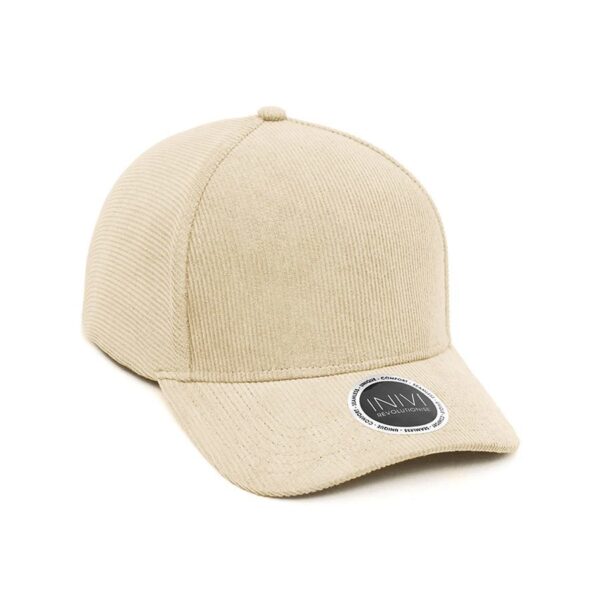 Corduroy 2-Panel Cap