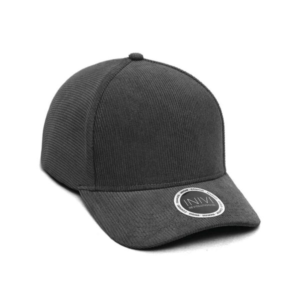 Corduroy 2-Panel Cap